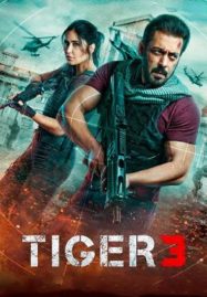 ดูหนังออนไลน์ฟรี Tiger 3 (2023) เรียกข้าว่าเสือ 3